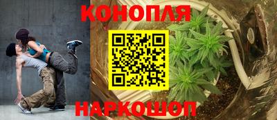 метадон Новозыбков