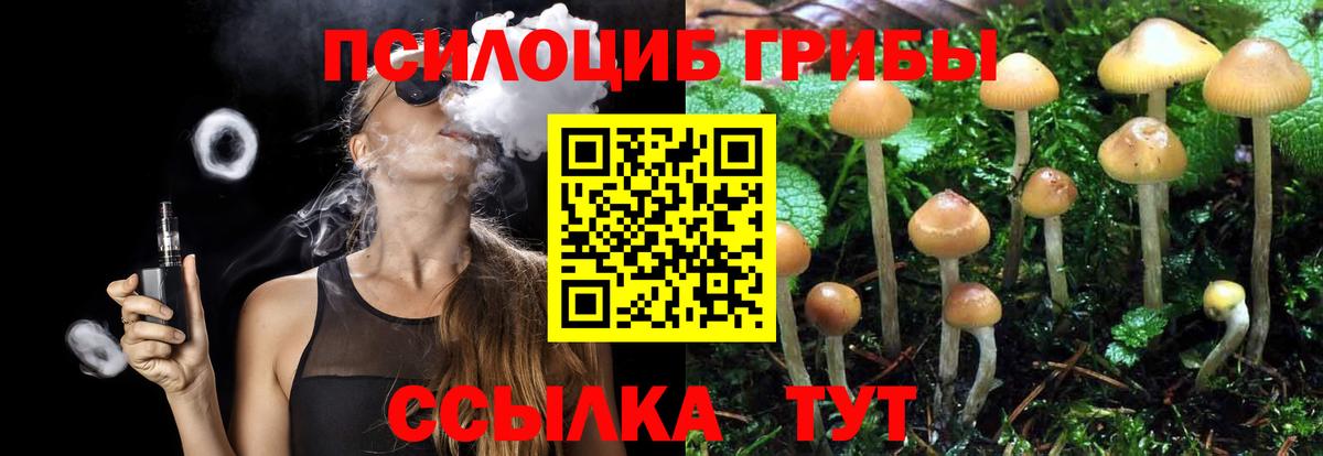 Псилоцибиновые грибы мухоморы  Вход с VPN  Химки 